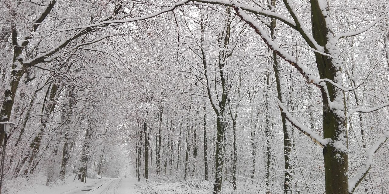 Circolazione stradale in periodo invernale e in caso di emergenza neve